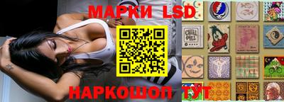 гидра Нальчик