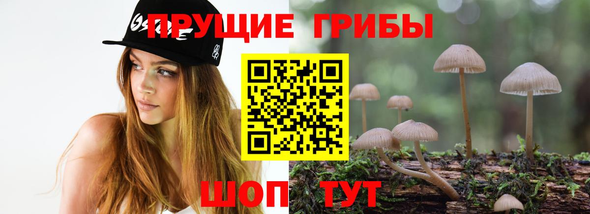 Галлюциногенные грибы Magic Shrooms  Псилоцибиновые грибы Psilocybe  Улан-Удэ  Вход с VPN 